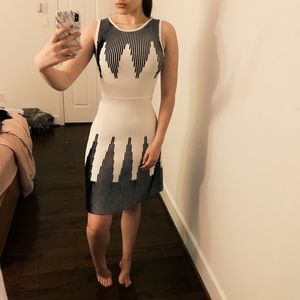 Calvin Klein Chevron Stripe Dress